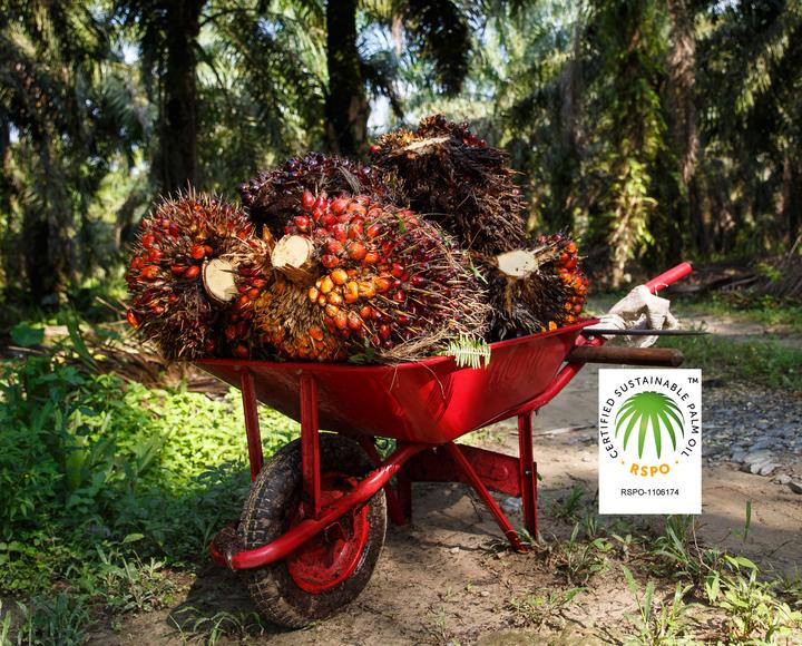 Member of the Roundtable on Sustainable Palm Oil (RSPO)