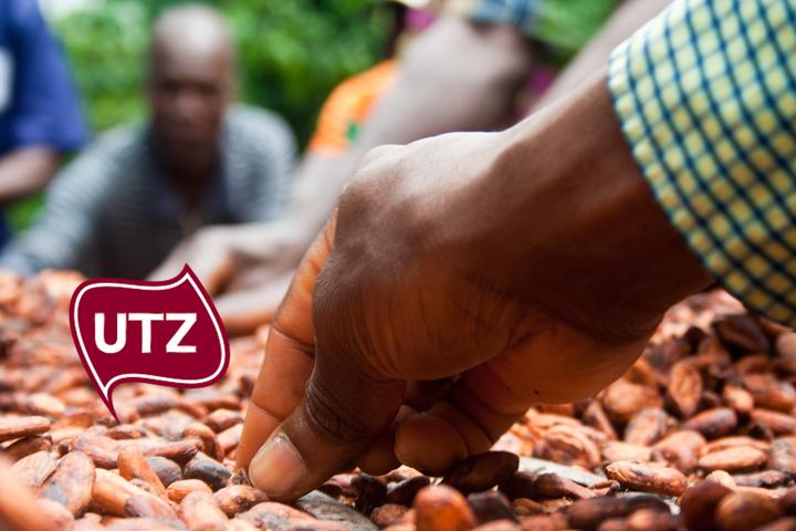 100 Prozent UTZ-zertifizierter Kakao